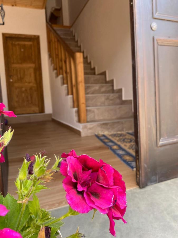 Guesthouse Riverside Berat Buitenkant foto